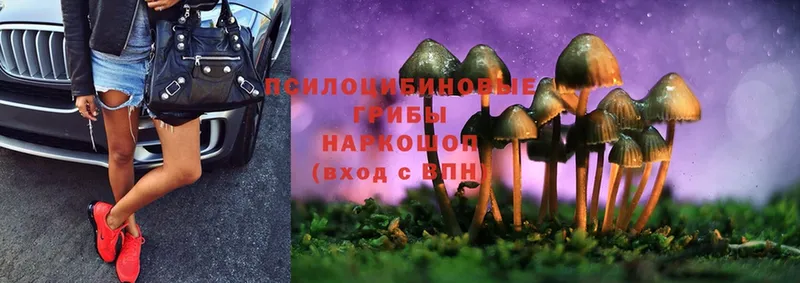 hydra зеркало  Белово  Псилоцибиновые грибы Magic Shrooms  мориарти Telegram  что такое  